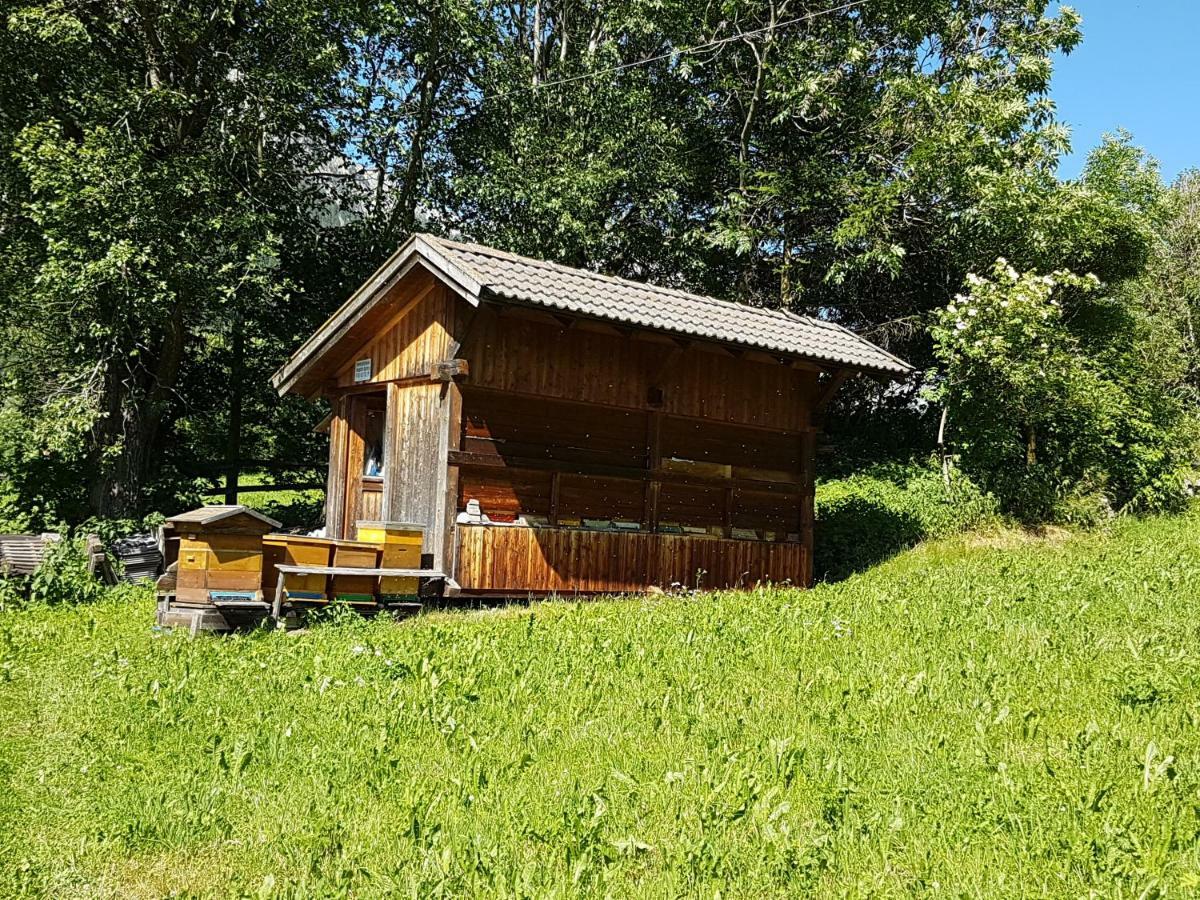 Apartments Nature Apis Landheim Anterselva di Mezzo Exterior photo